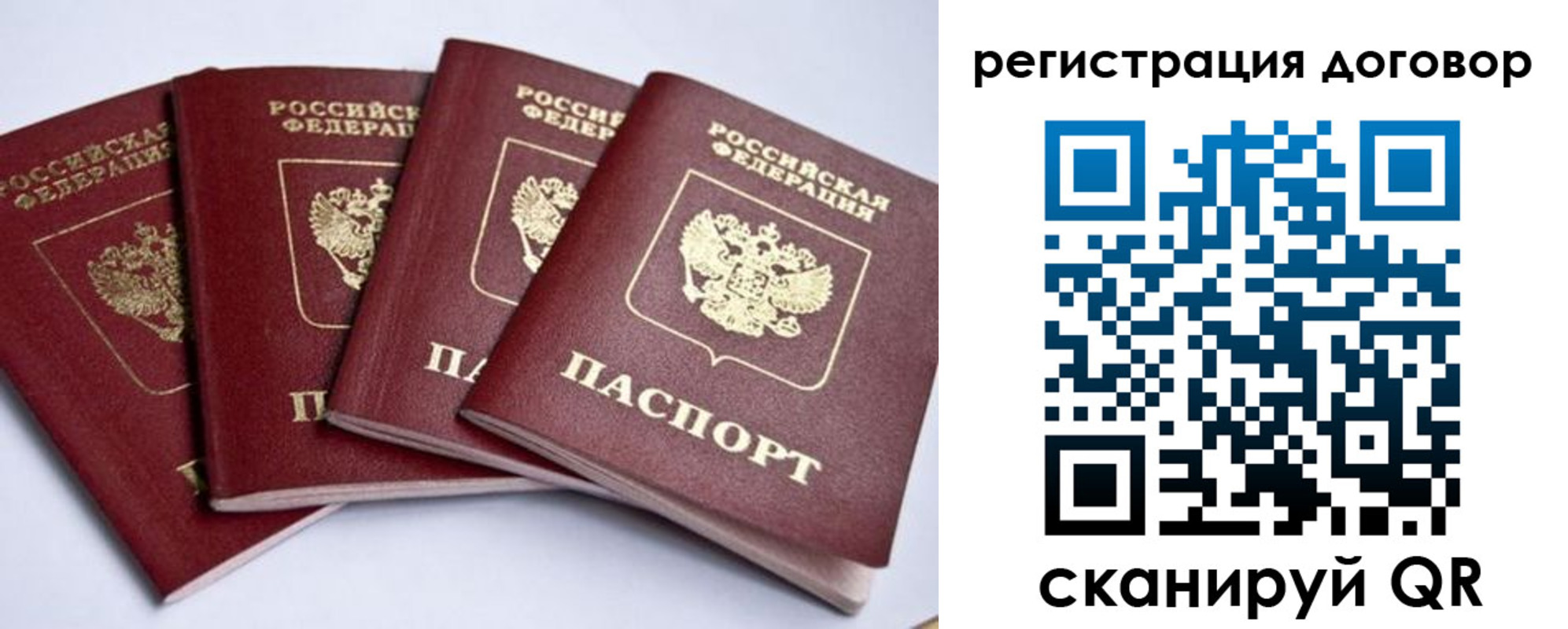 прописка поиск в Менделеевске